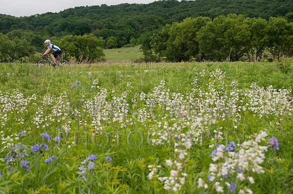 20110611-_DSC6544-2