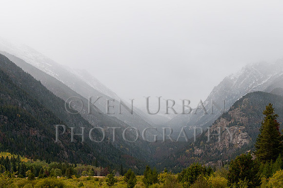 _DSC0841