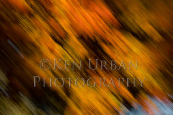 _DSC4339