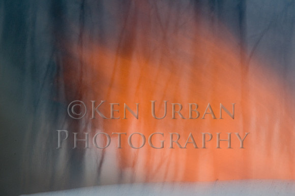 _DSC0204