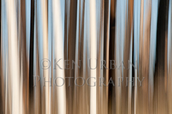 _DSC3193-2-Edit