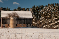 Silo trees