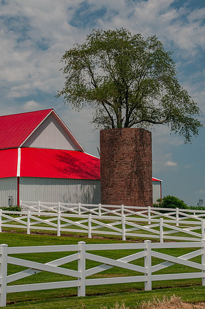 20110702-_DSC7234.jpg