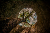 20110702-_DSC7253-Edit.jpg