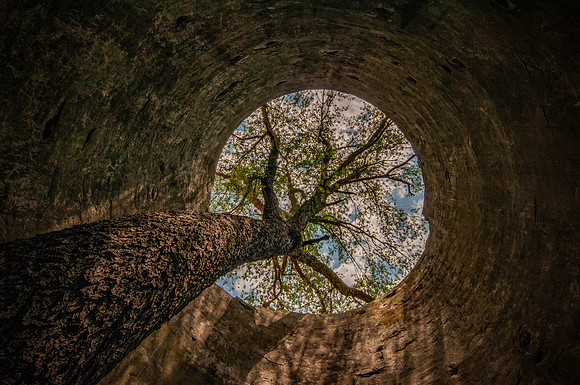 20110702-_DSC7253-Edit.jpg