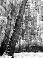 IMG_3117-2.jpg