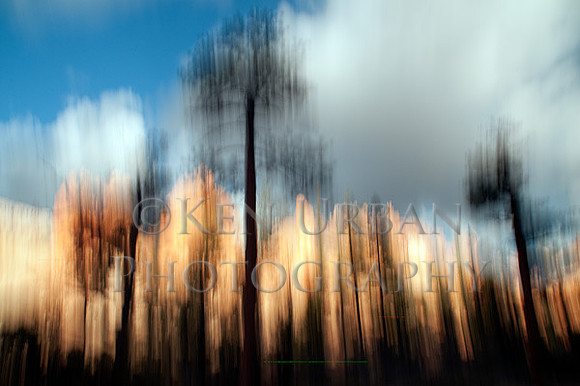 _DSC2783-Edit