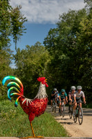 Chicken Ridge Road