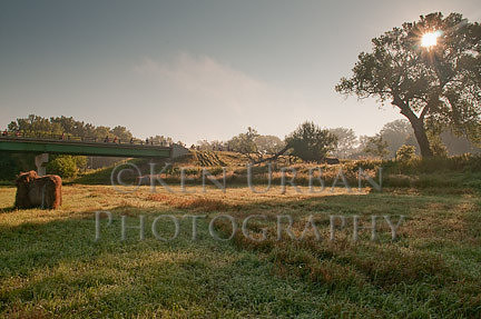 _DSC1795