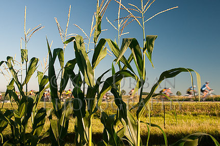 _DSC1848-Edit