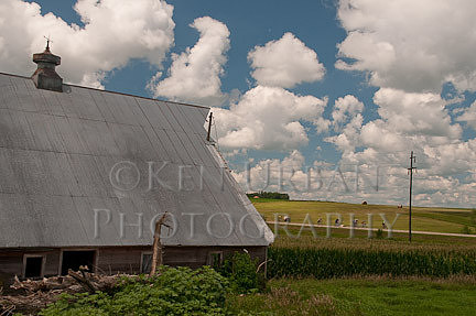 _DSC1984