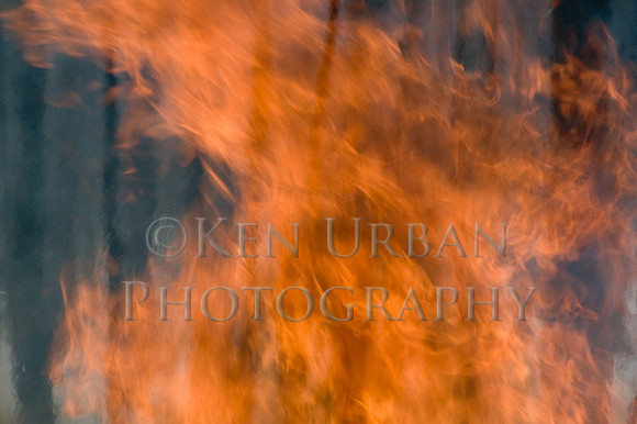 _DSC0207