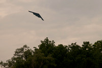 20110723-_DSC7371-10