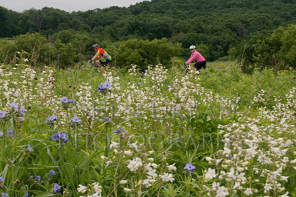 20110611-_DSC6570-2