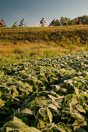 _DSC1810