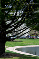 VanderVeer Park