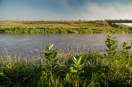 _DSC1784
