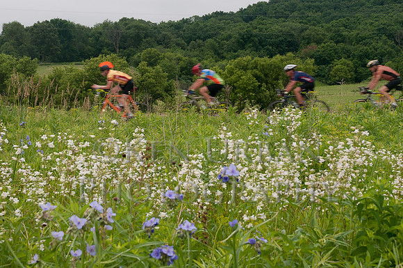 20110611-_DSC6559-2