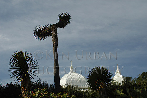 723- CA10-DSC_0027