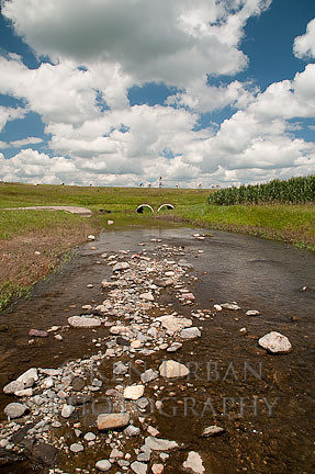 _DSC2012