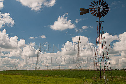_DSC2104
