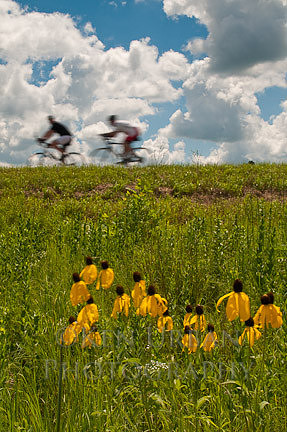 _DSC1929-Edit
