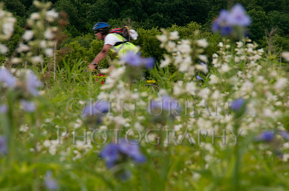 20110611-_DSC6556-2