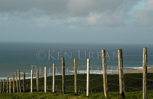 685- DSC_0041