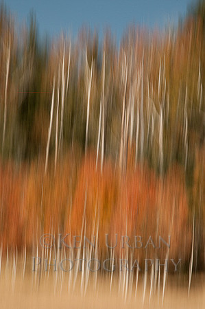 _DSC3141-Edit