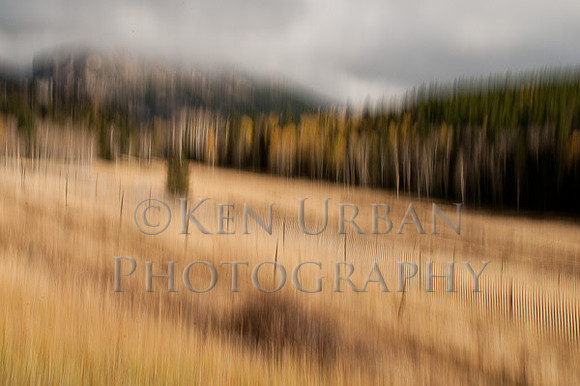 _DSC3743