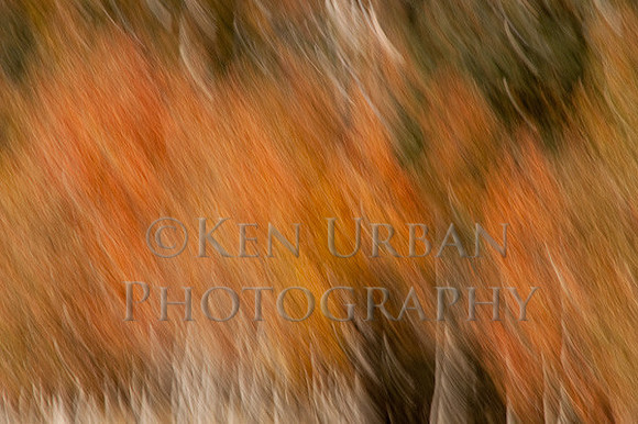 _DSC3161-Edit