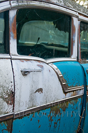 _DSC0816