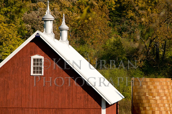 _DSC4023