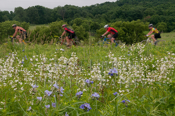 20110611-_DSC6561-2