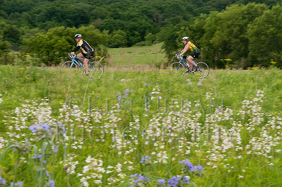 20110611-_DSC6554-2