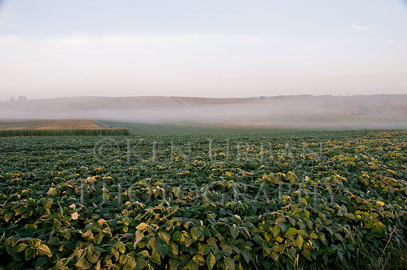 20120728-_DSC3587