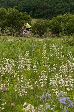 20110611-_DSC6567-2