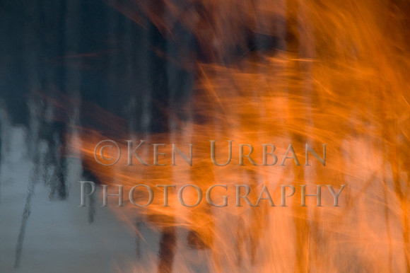 _DSC0235