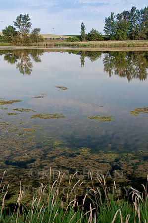 20120723-_DSC2608
