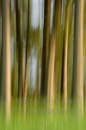 DSC_0575-Edit