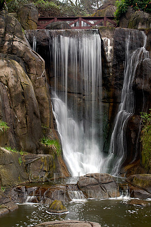 716- CA8-DSC_0064