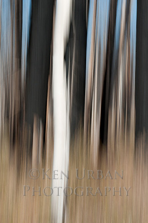 _DSC3198-Edit