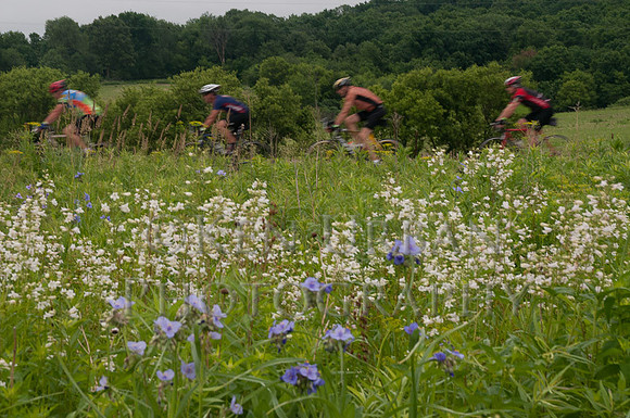 20110611-_DSC6560-2