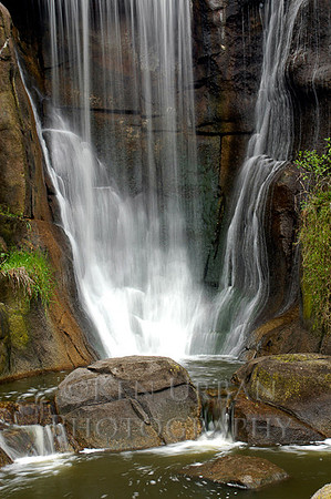717- CA8-DSC_0065