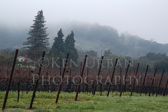 664- DSC_0024