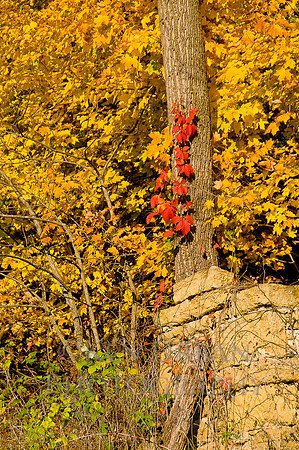 20081011-_DSC4051-18