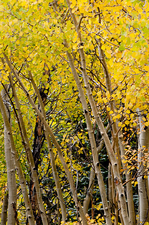 _DSC0674
