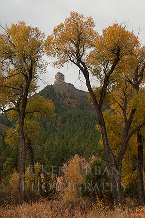 _DSC3591