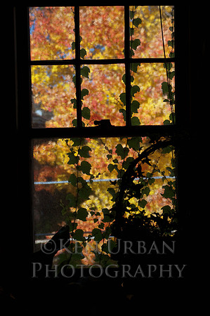 20041023-DSC_0435-4
