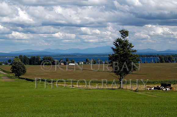 843- DSC_0031